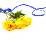 送別会の花束を渡すタイミングや渡す人の選び方 手配するときのポイントをご紹介 渡り鳥の住処