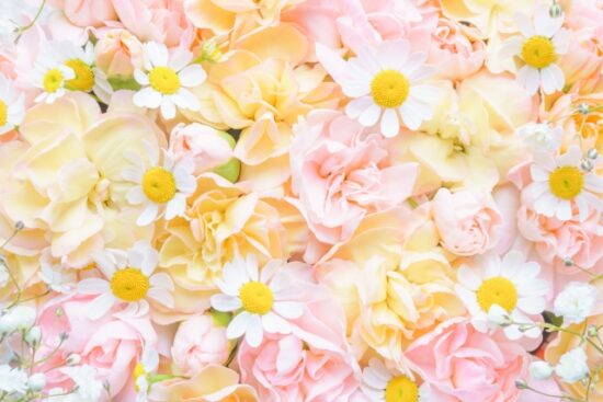 結婚式で使ってはいけない花と縁起のいい花言葉を解説！春夏秋冬の季節別に紹介！