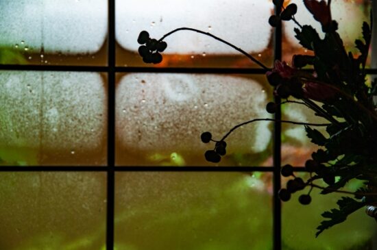 【雨の日に窓開けっ放しはNGか】換気は窓開ける開けないどっちがいいかデメリットと合わせてどうするのがいいか解説！